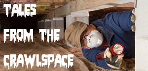 Tales from the Crawlspace