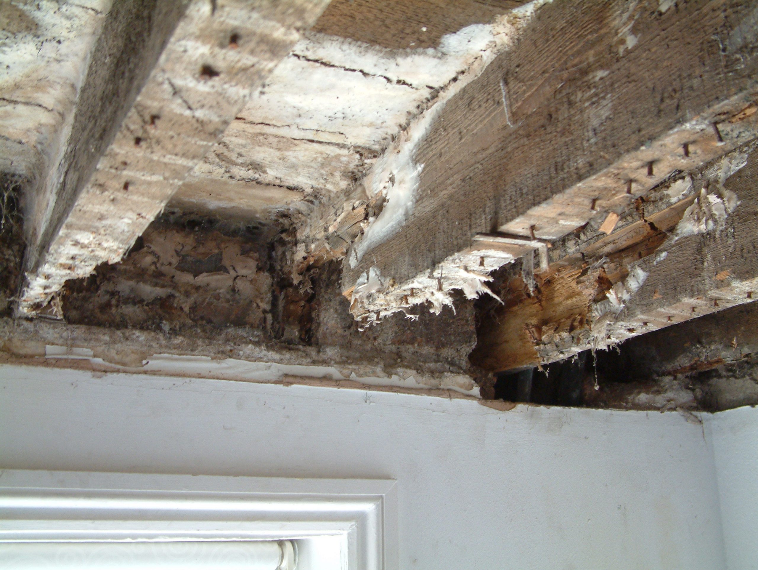Dryrot in rafters of basemant